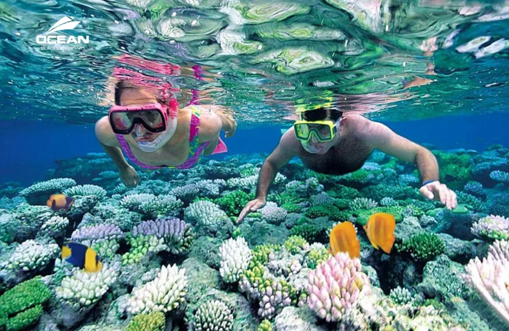 Tour Phú Quốc 3 Ngày 2 Đêm - Du Lịch Ocean