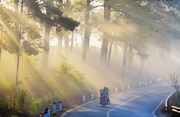 Điểm du lịch Đà Lạt