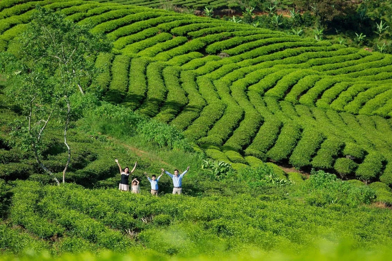 du lịch Đà Lạt 3 ngày 2 đêm