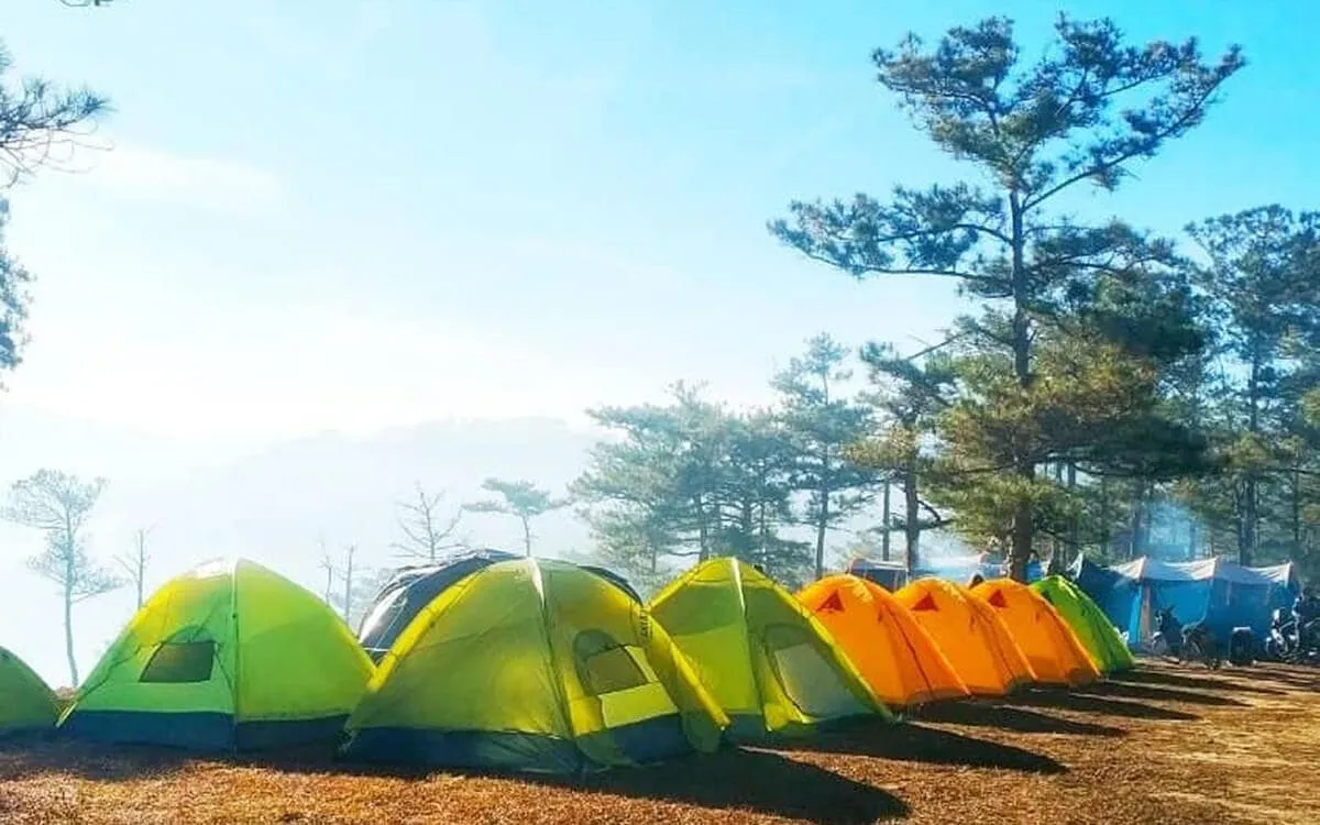 Cắm trại săn mây Đà Lạt