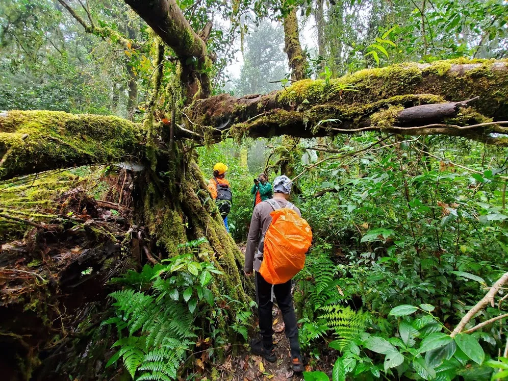 Lưu ý khi trekking cắm trại Đà Lạt