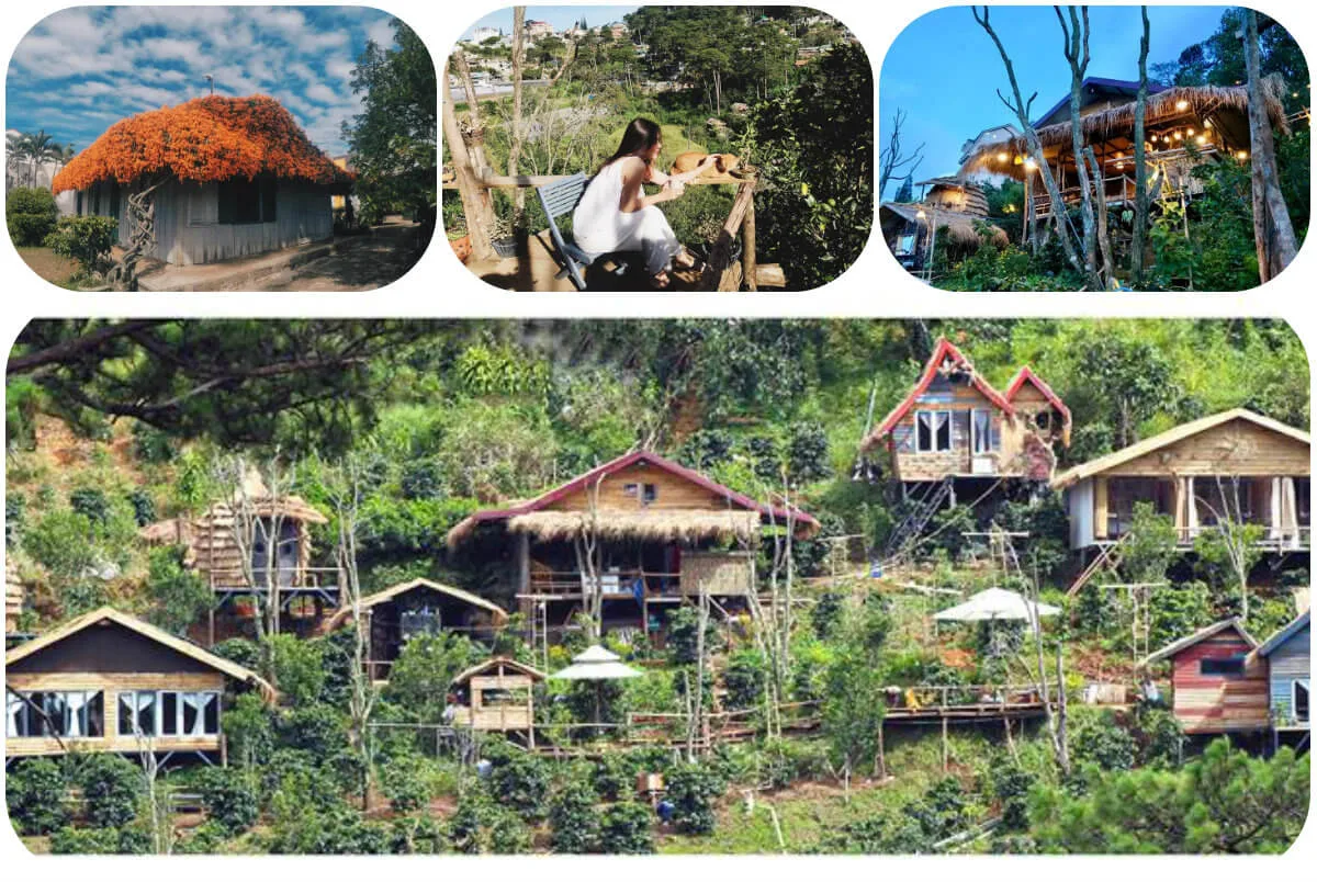 Homestay nghỉ dưỡng Đà Lạt
