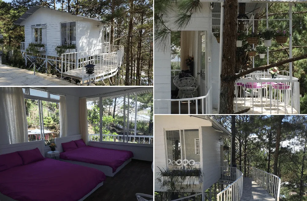 Homestay Đà Lạt nghỉ dưỡng
