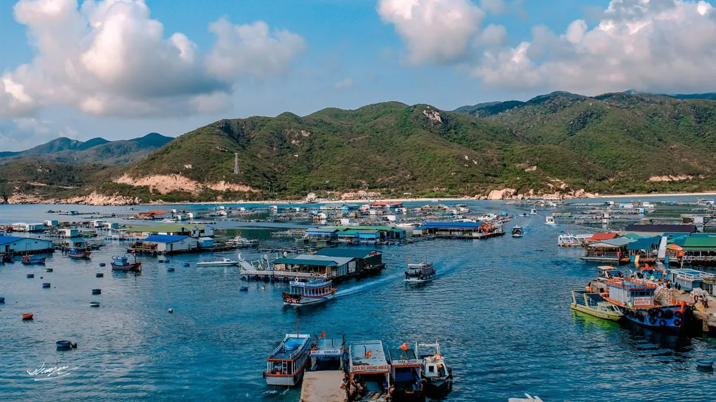 Tour đảo Bình Hưng
