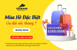 Tour du lịch mùa hè đặc biệt