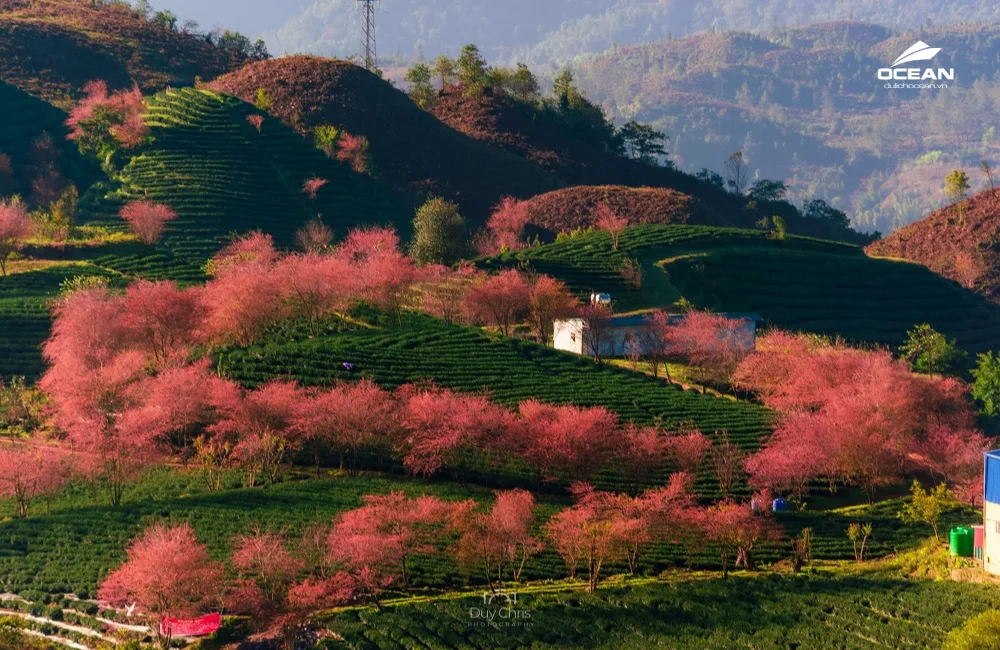 Tour Sapa 3N2Đ: Bản Cát Cát - Hàm Rồng - Fansipan