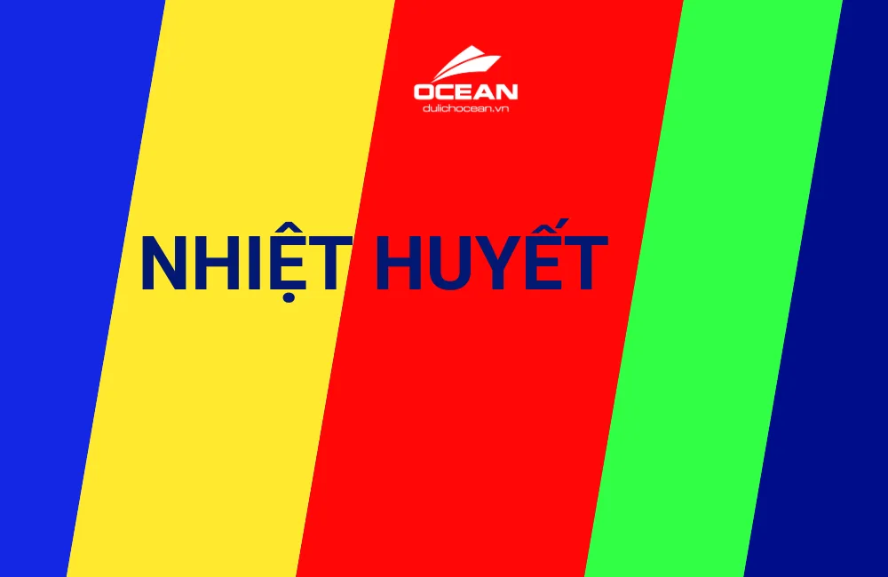 Nhận diện thương hiệu mới Dulichocean