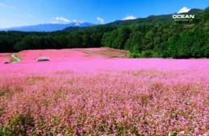 Điểm đến du lịch mùa thu