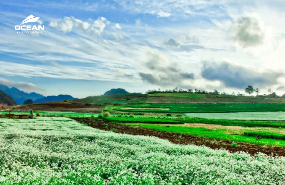 Điểm đến mùa thu