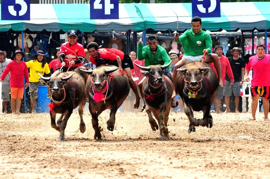 du lịch mùa thu Thái Lan