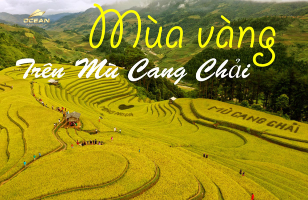 du lịch mù cang chải
