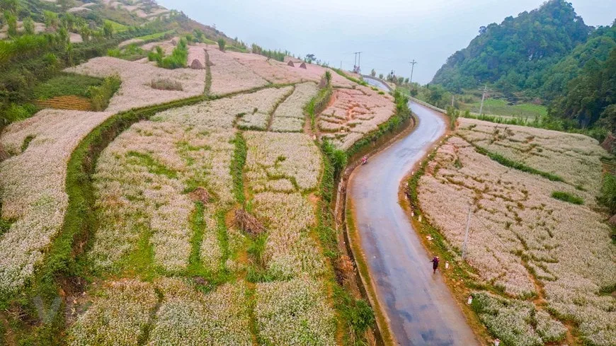 Du lịch Hà Giang bằng ô tô