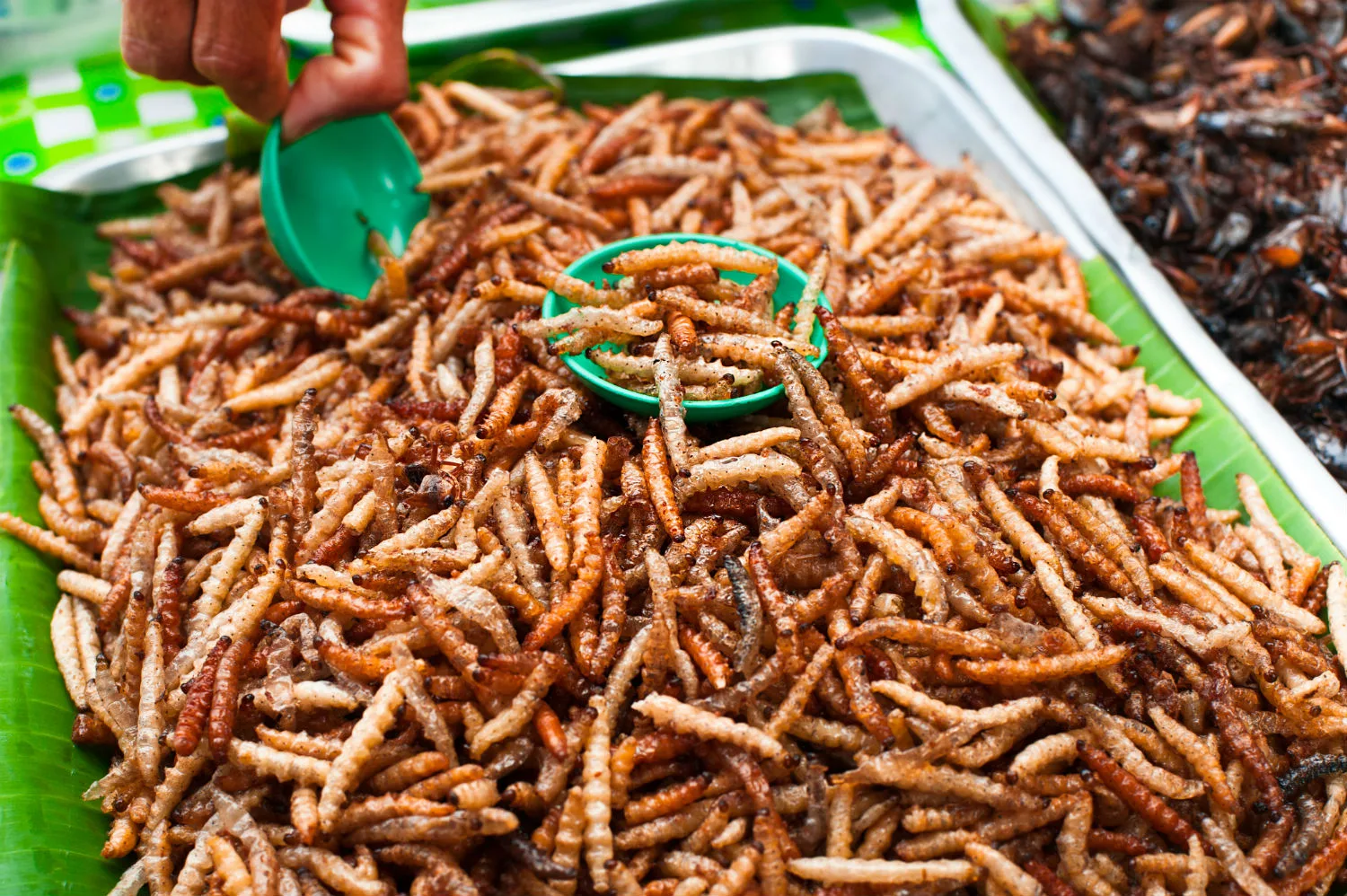 Món ngon đường phố Thái Lan