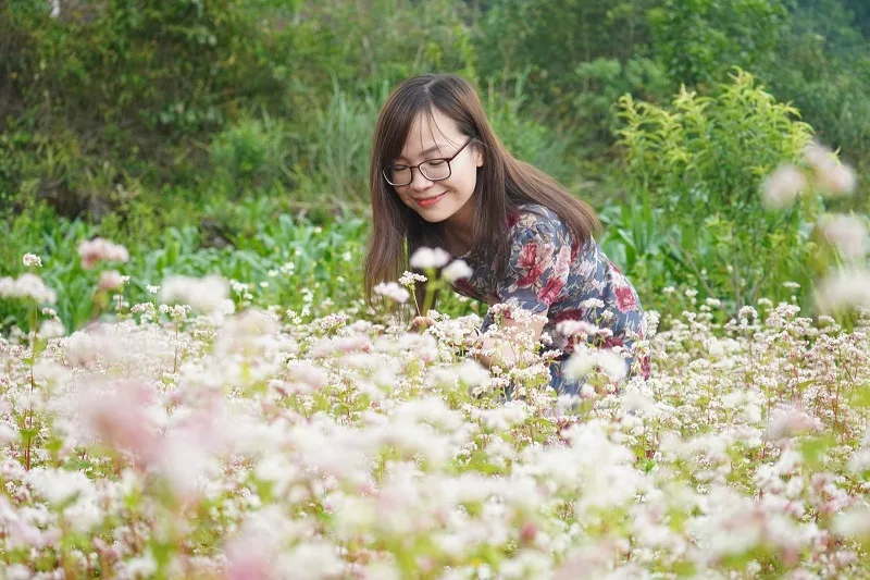 Mùa hoa Tam Giác Mạch vào tháng mấy?