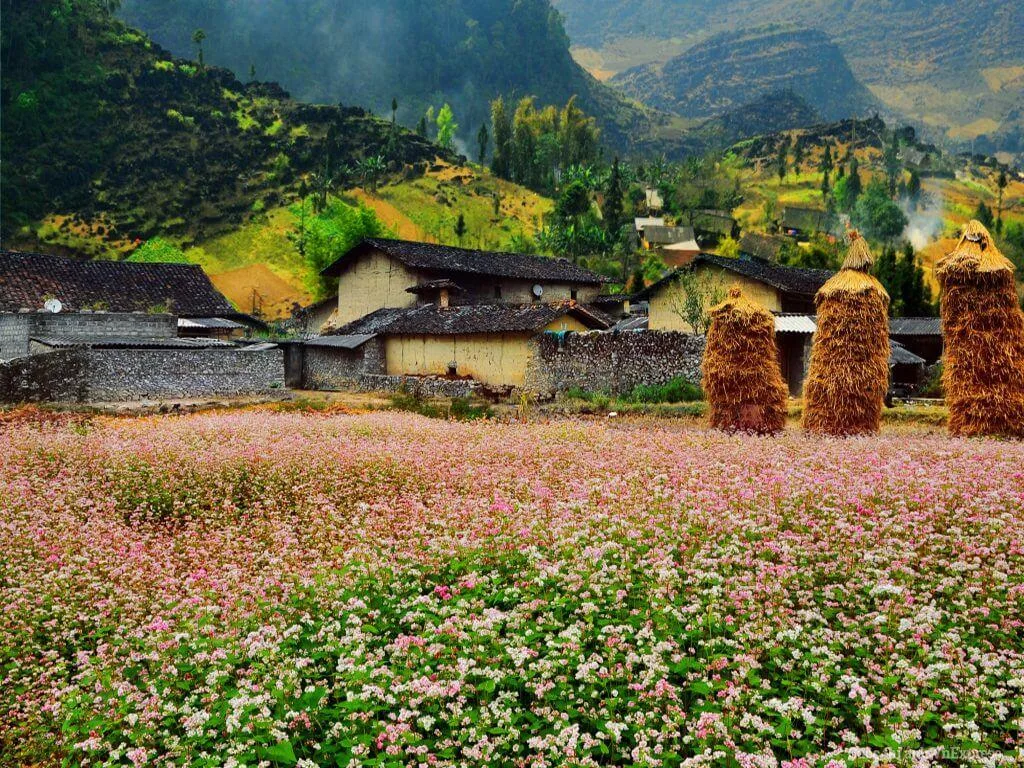 Tour Hà Nội Hà Giang Sapa 4N3Đ