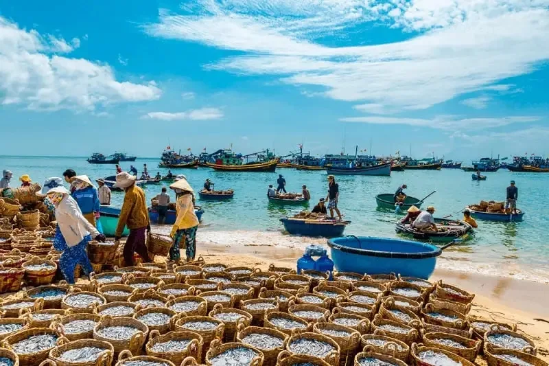 Mường Thanh Phan Thiết