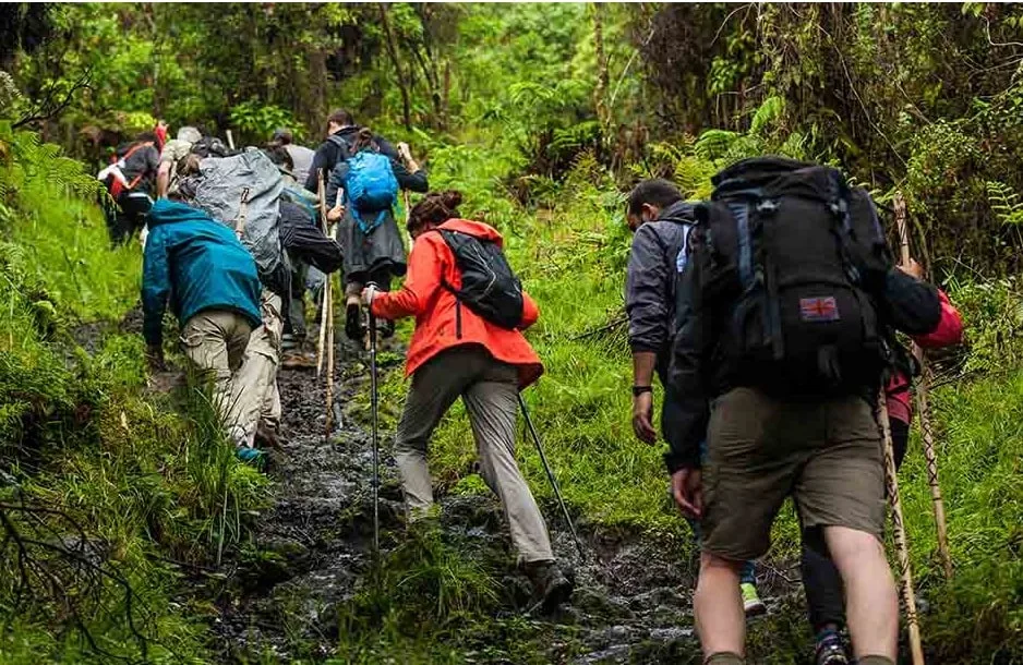 Du lịch Trekking Đà Lạt