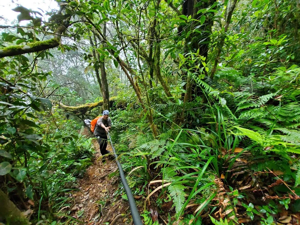 Du lịch Trekking Đà Lạt