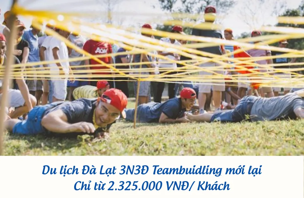 du lịch teambuilding Đà Lạt 3n2đ