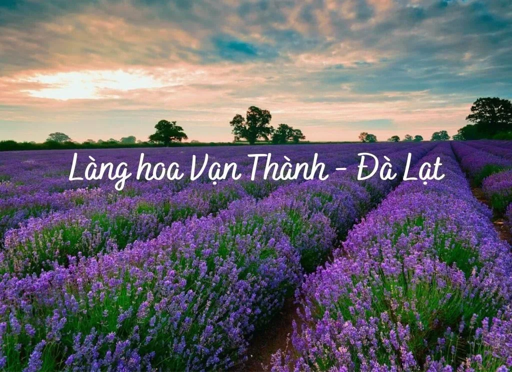 Đi Đà Lạt có gì chơi?