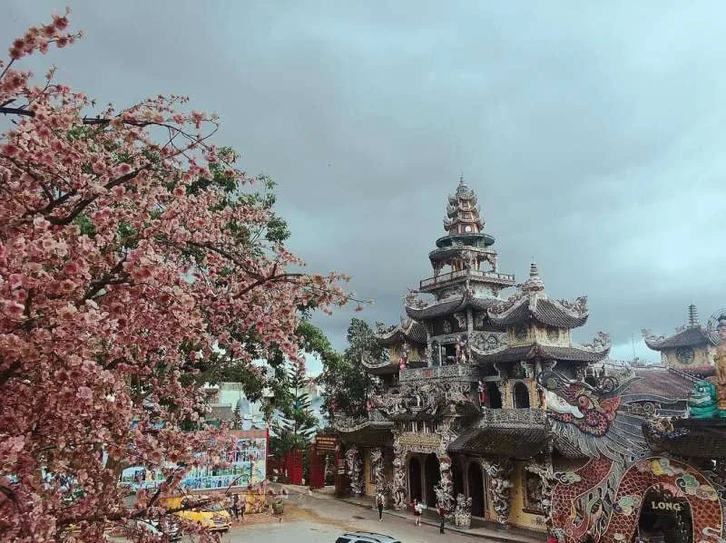 Đi Đà Lạt có gì chơi?
