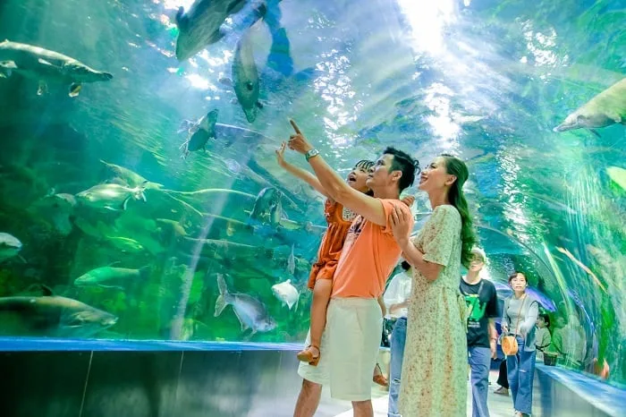 Du lịch Nha Trang đi đâu
