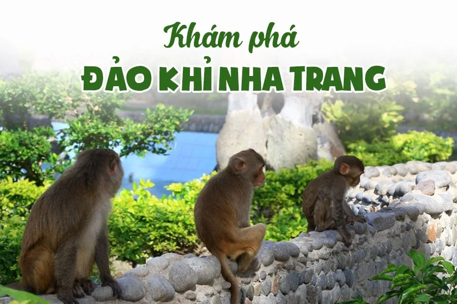 Tham quan vui chơi Đảo Khỉ Nha Trang