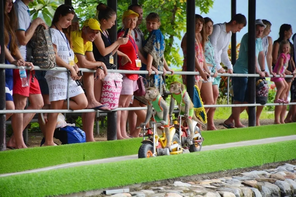 Khám phá Đảo Khỉ Nha Trang