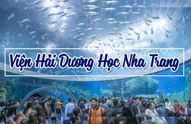 Viện Hải Dương Học Nha Trang - Đại Dương Giữa Thành Phố