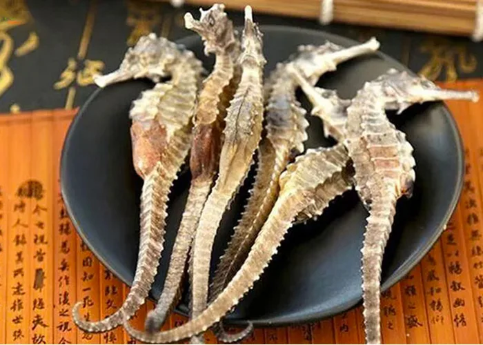 Cá ngựa khô - Làm quà du lịch Nha Trang