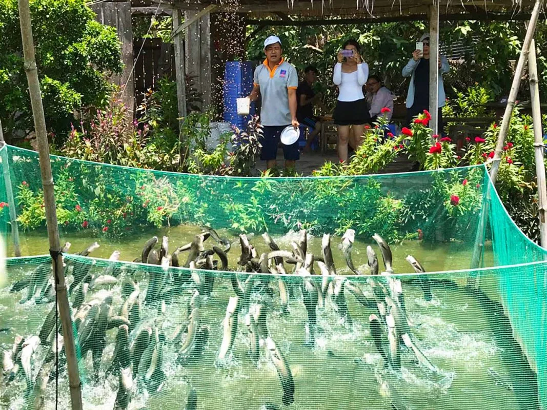 Tour du lịch Mỹ Tho -Bến Tre - Cần Thơ 2N1Đ