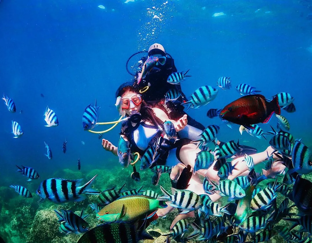 Điểm đến của tour du lịch Nha Trang -Dulichocean