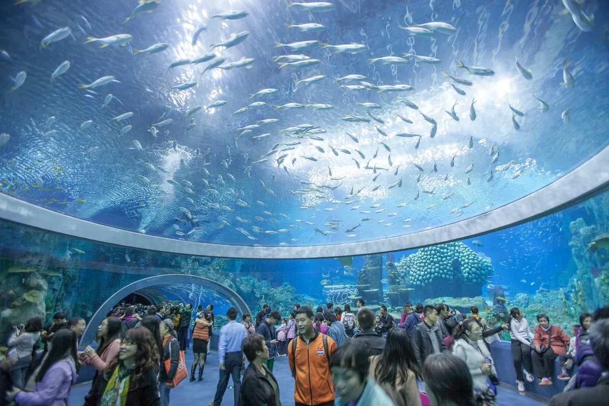 Điểm đến tour du lịch Nha Trang - Ocean