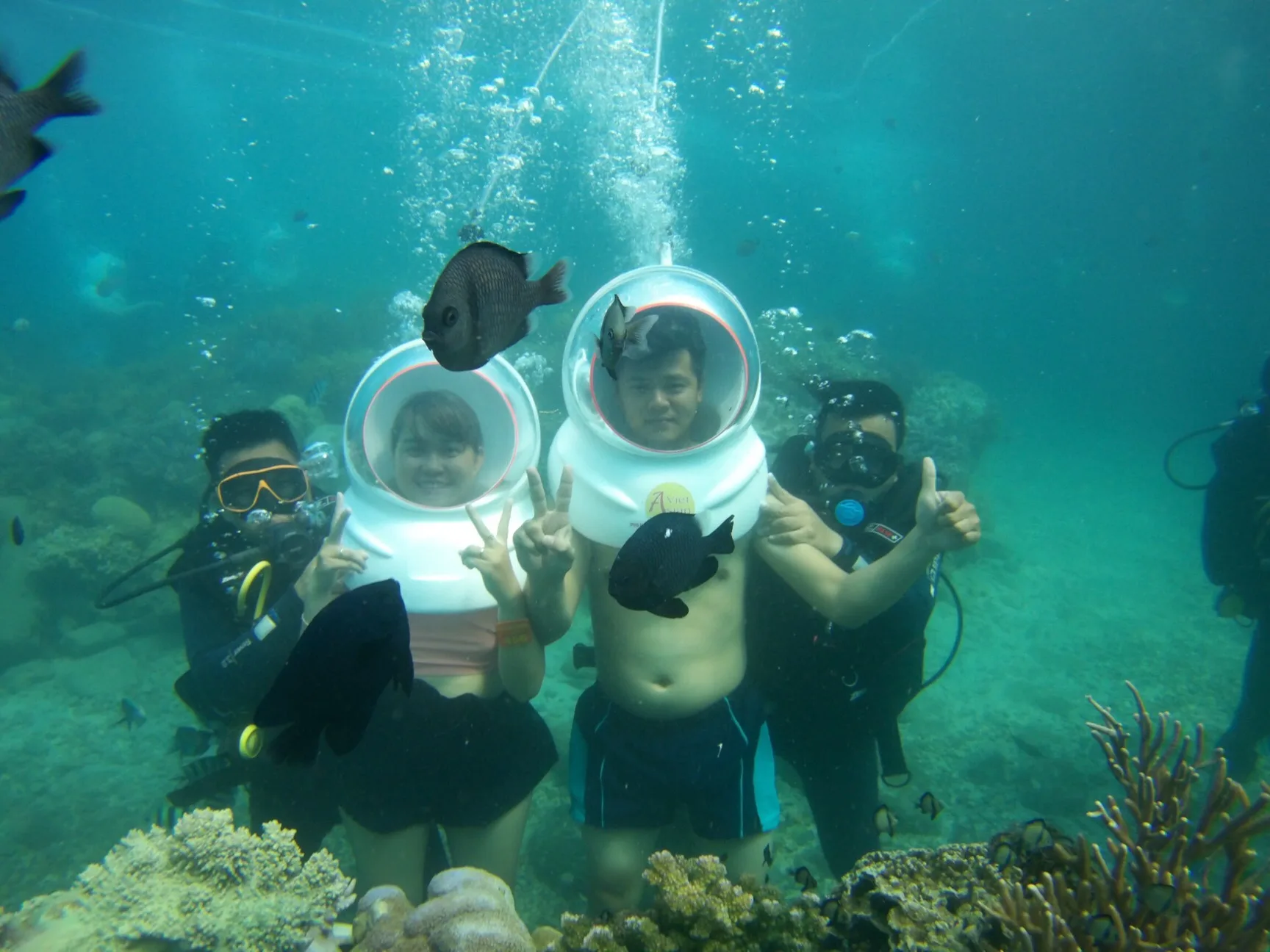 Tour Nha Trang 4 đảo ngắm san hô