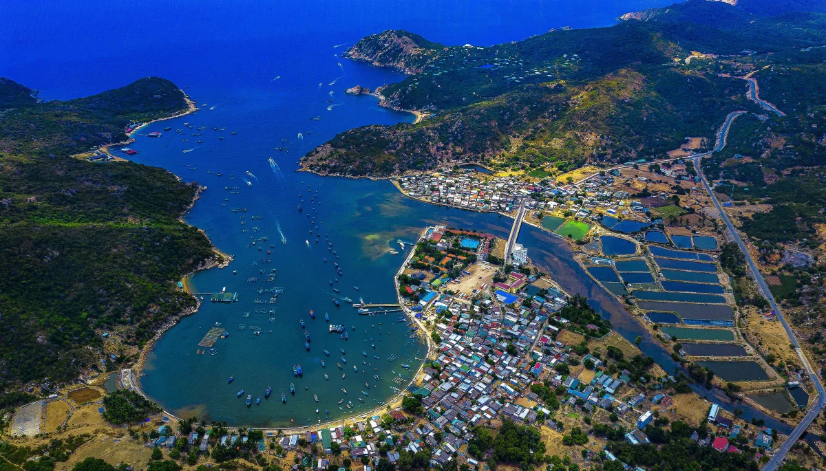 Ninh Chử Có Gì Chơi? 