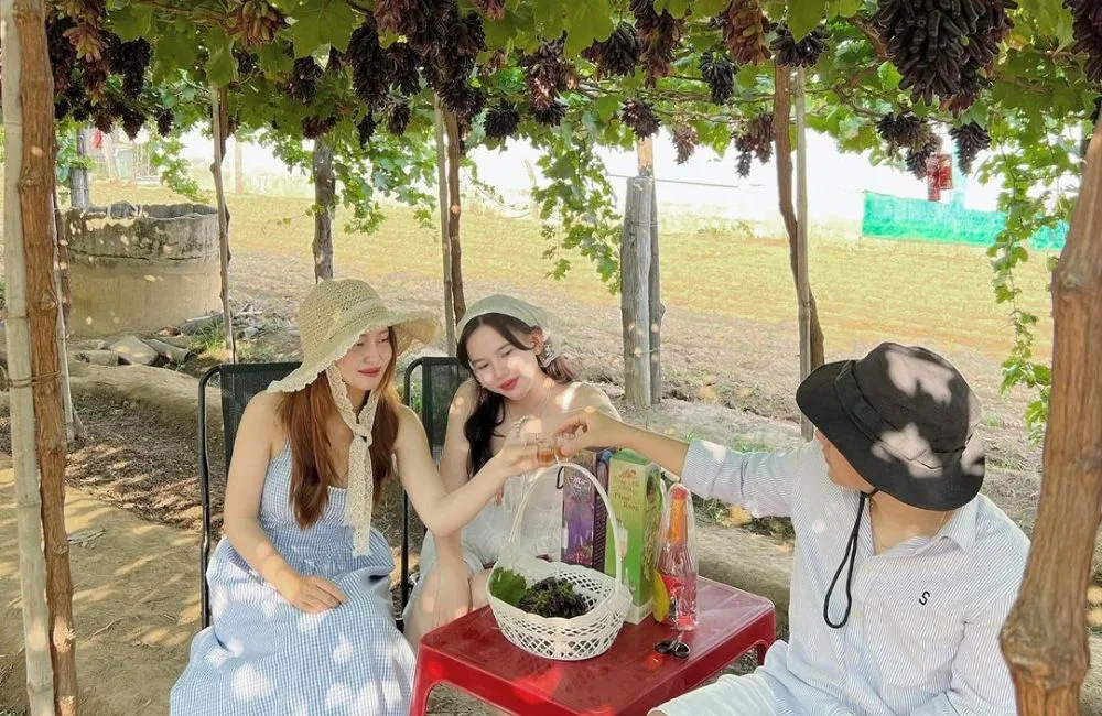 Tour Ninh Chử 2N2Đ - Tour đoàn | Dulichocean