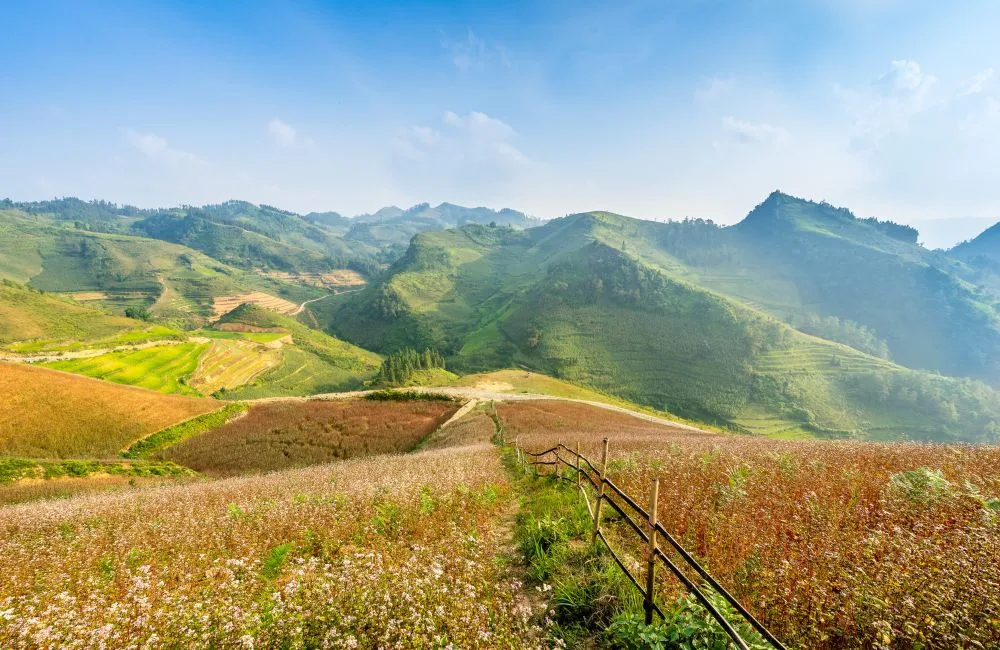Tour du lịch Hà Giang - Hà Nội 4N3Đ| DulichOcean