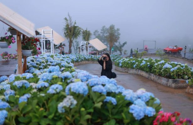 Vui chơi tại Cao nguyên hoa Đà Lạt