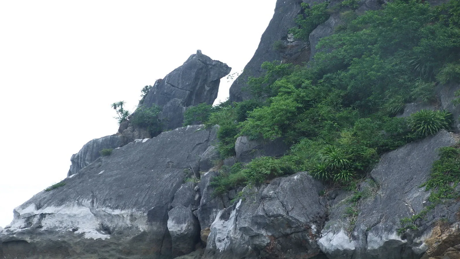 Du Lịch Hạ Long 3N2Đ | Tour Trọn Gói Khởi Hành Từ