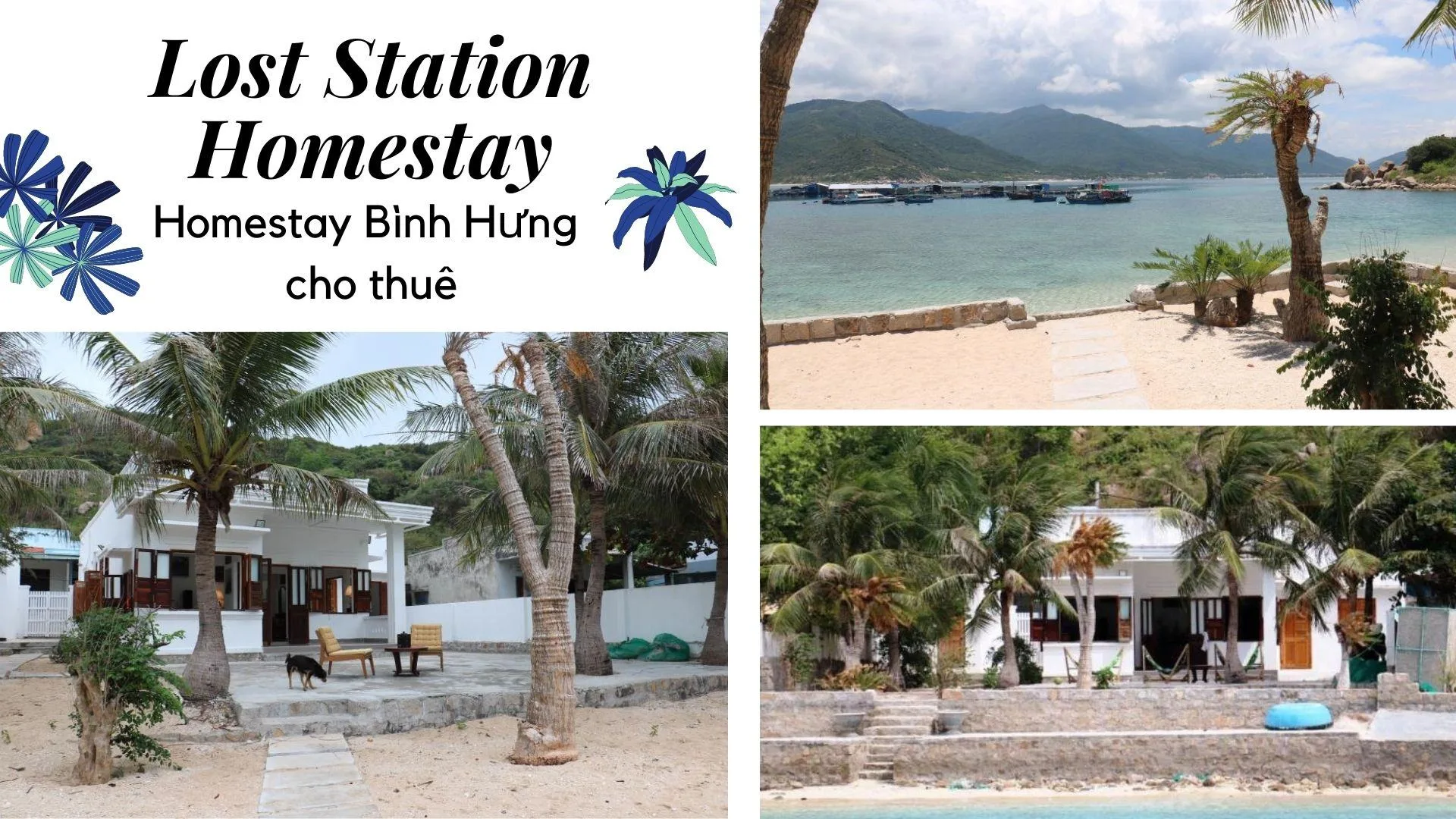 Khách sạn Bình Hưng View Đẹp Lý Tưởng Cho Kỳ Nghỉ