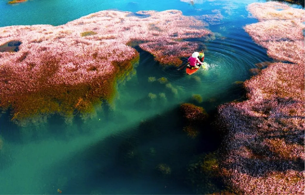 Tour Bảo Lộc 3N2Đ: Nghỉ Dưỡng Resort 4 Sao