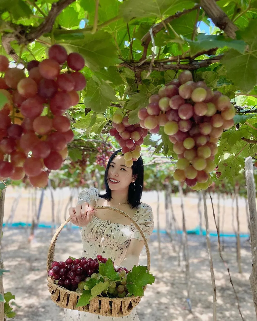 Tour Ninh Thuận 2N1Đ: Vui Chơi Khám Phá Ninh Chử - Vĩnh Hy