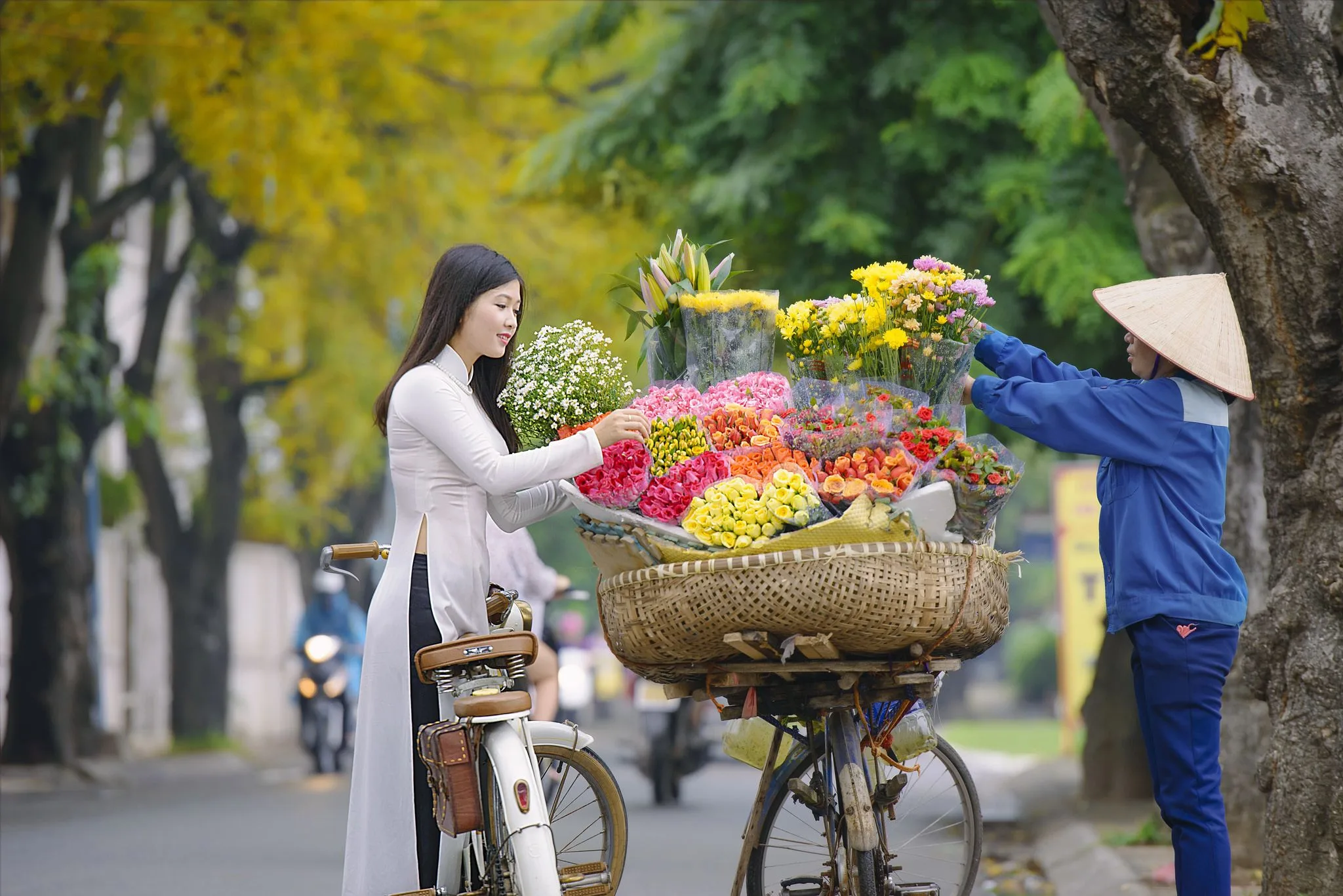 Mùa thu Hà Nội - Du lịch thưởng thức cảnh sắc
