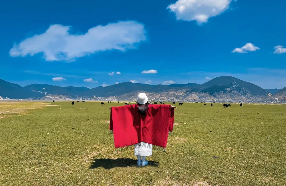 Hành Trình Khám Phá Lệ Giang và Shangri La: Cẩm Nang Du Lịch Thiên Đường Hạ Giới