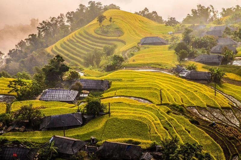 lễ hội Hoa Tam Giác Mạch Hà Giang lần thứ 10