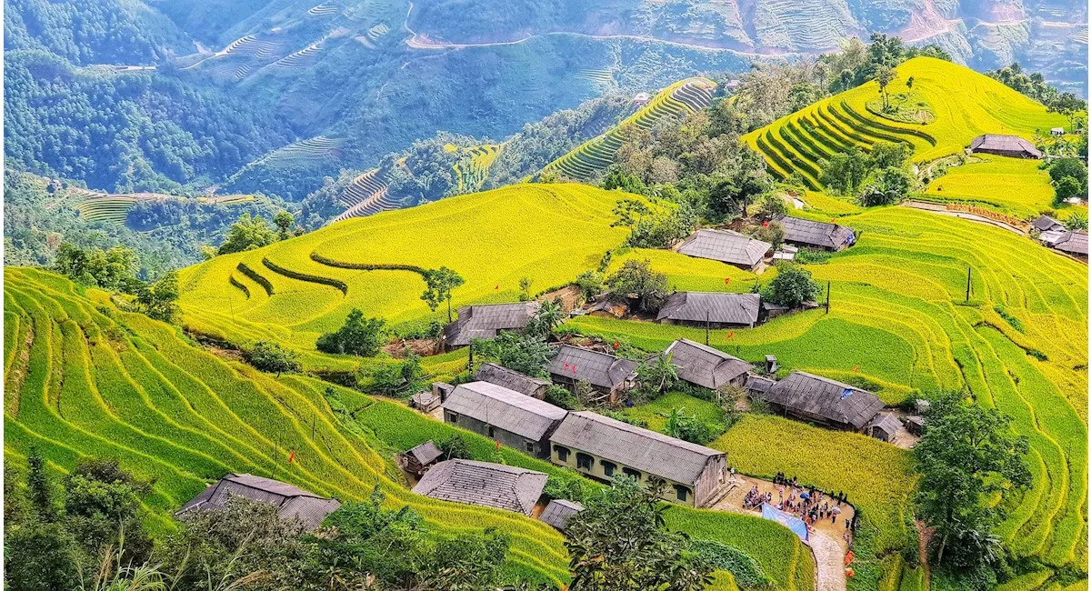 Du lịch Hoàng Su Phì Hà Giang