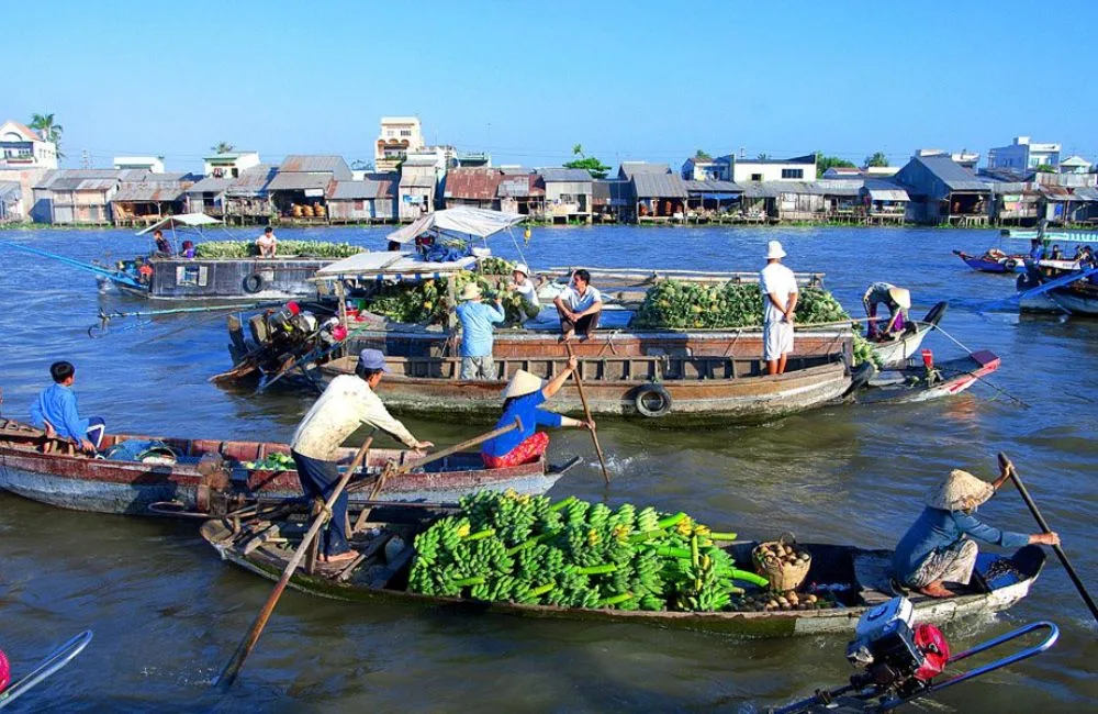 Top Chợ Nổi Miền Tây - Địa Điểm Trải Nghiệm Vẻ Đẹp Văn Hóa Độc Đáo Sông Nước