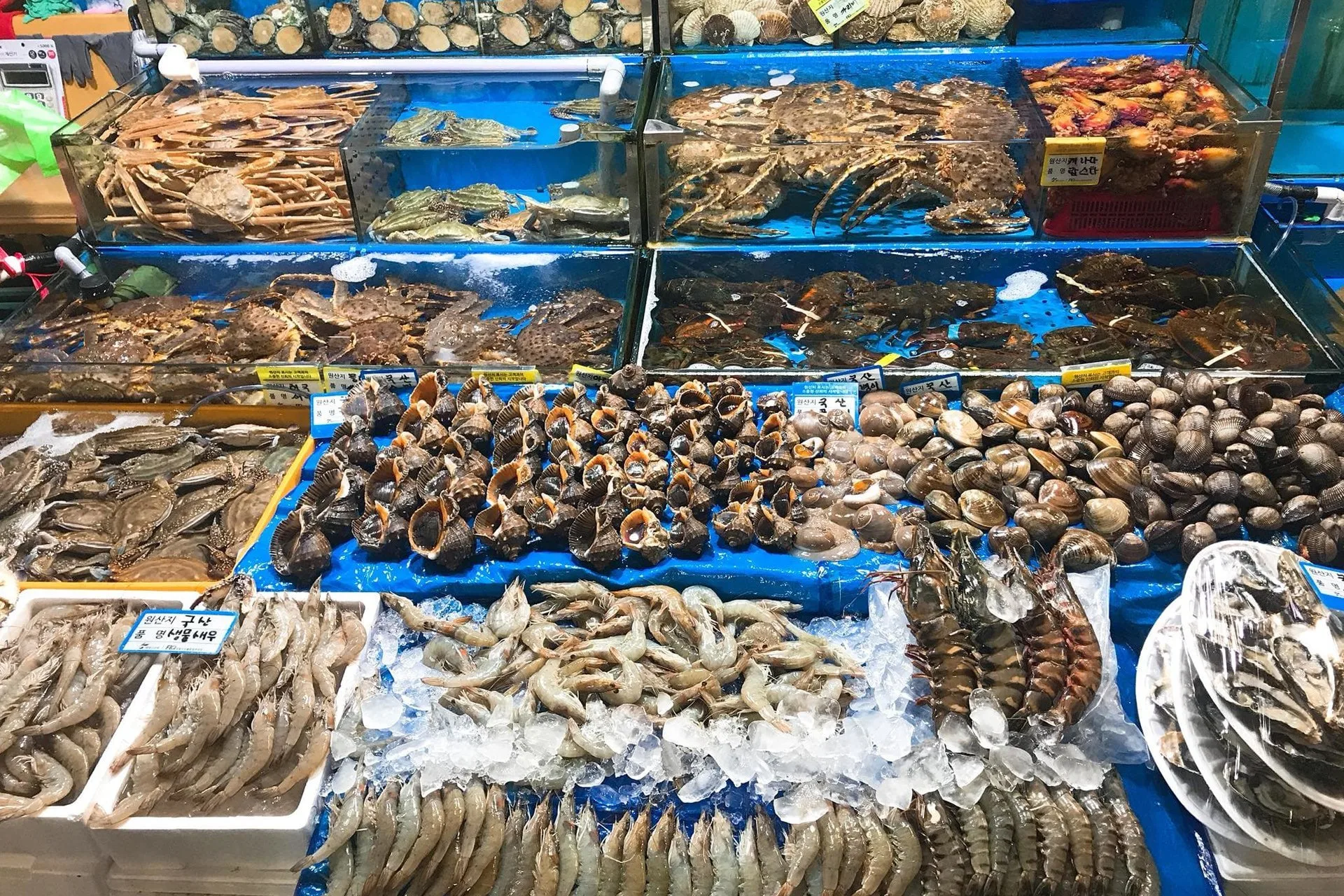 Khám Phá Kinh Nghiệm Du Lịch Kiên Giang – Những Trải Nghiệm Không Thể Bỏ Qua