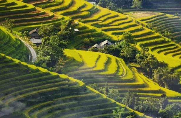 Du lịch Hoàng Su Phì Hà Giang