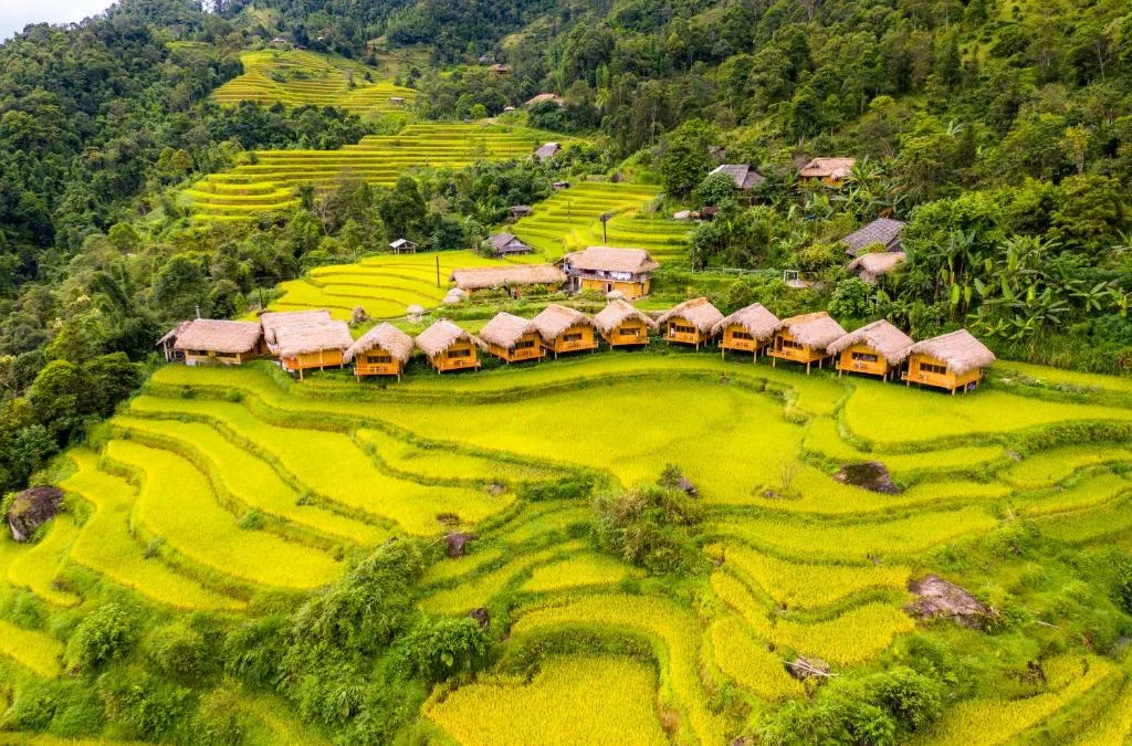 Hoàng Su Phì - Điểm Đến Du Lịch Đặc Biệt Của Hà Giang 